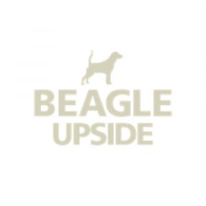 Beagle Upside 