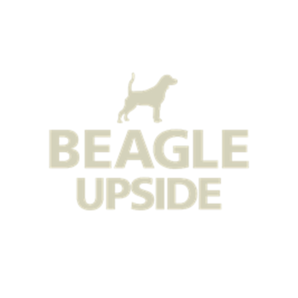 Beagle Upside 